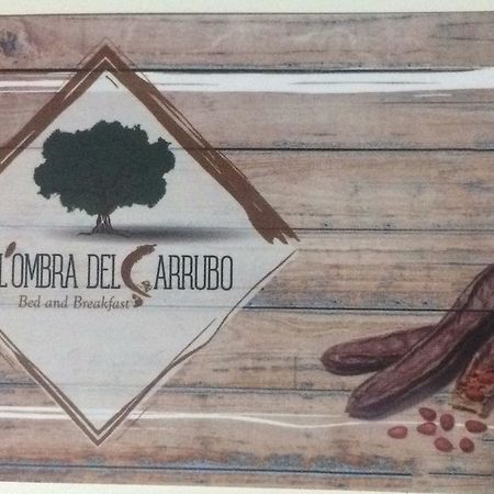All'Ombra Del Carrubo - Metaponto Exteriör bild